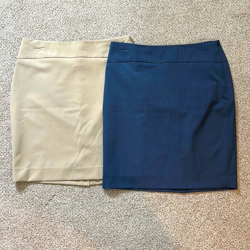 The Limited Pencil Skirts (lot of 2)